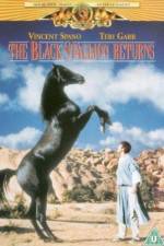 Watch The Black Stallion Returns M4uhd