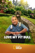 Watch Cesar Millan: Love My Pit Bull M4uhd