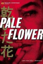 Watch Kawaita hana M4uhd