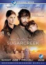 Watch Love Finds You in Sugarcreek M4uhd