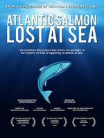 Watch Atlantic Salmon: Lost at Sea M4uhd