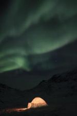 Watch The Last Igloo M4uhd