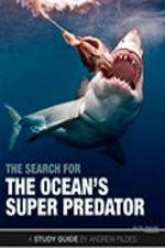 Watch The Search for the Oceans Super Predator M4uhd