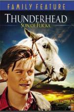 Watch Thunderhead - Son of Flicka M4uhd
