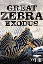Watch Nature: Great Zebra Exodus M4uhd