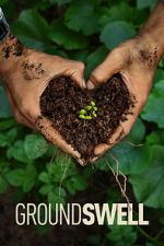 Watch Groundswell M4uhd
