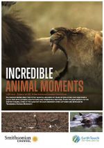 Watch Incredible Animal Moments M4uhd