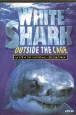 Watch National Geographic white shark:outside the cage M4uhd
