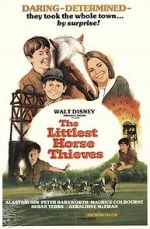 Watch The Littlest Horse Thieves M4uhd