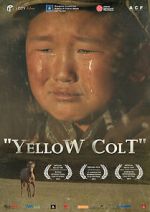 Watch Yellow Colt M4uhd