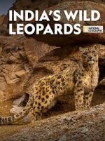 Watch India\'s Wild Leopards (Short 2020) M4uhd