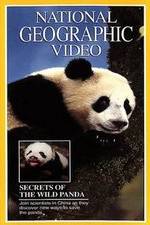 Watch Secrets of the Wild Panda M4uhd