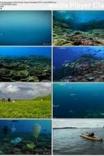 Watch National Geographic: Pacific Ocean Paradise M4uhd
