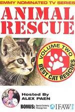 Watch Animal Rescue, Volume 2: Best Cat Rescues M4uhd