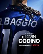 Watch Baggio: The Divine Ponytail M4uhd