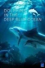 Watch Dolphins in the Deep Blue Ocean M4uhd