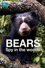 Watch Bears: Spy in the Woods M4uhd