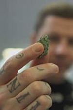 Watch Professor Green: Is It Time to Legalise Weed? M4uhd