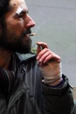 Watch Into the Night M4uhd