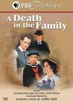 Watch A Death in the Family M4uhd