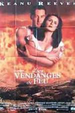 Watch A Walk in the Clouds M4uhd