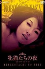 Watch Night of the Felines M4uhd