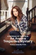 Watch A Bundle of Trouble: An Aurora Teagarden Mystery M4uhd
