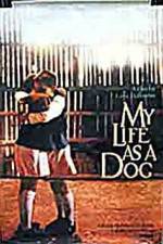 Watch My Life As A Dog M4uhd