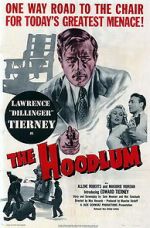 Watch The Hoodlum M4uhd