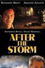 Watch After the Storm M4uhd