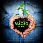 Watch The Magic Plant M4uhd