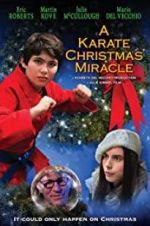 Watch A Karate Christmas Miracle M4uhd