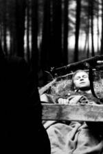 Watch Kocr do Vdne M4uhd