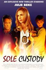 Watch Sole Custody M4uhd