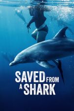 Watch Saved from a Shark M4uhd