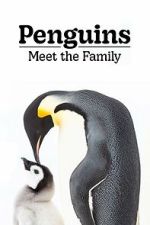 Watch Penguins: Meet the Family M4uhd