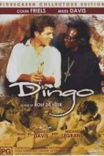 Watch Dingo M4uhd