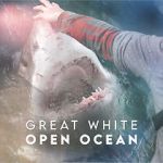 Watch Great White Open Ocean M4uhd