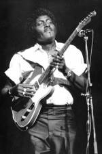 Watch Albert Collins in Concert M4uhd