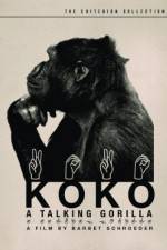 Watch Koko, le gorille qui parle M4uhd