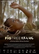 Watch Fig Tree M4uhd