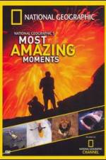 Watch National Geographics Most Amazing Moments M4uhd