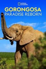 Watch Gorongosa: Paradise Reborn (Short 2022) M4uhd