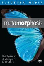 Watch Metamorphosis: The Beauty and Design of Butterflies M4uhd