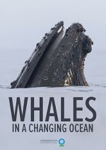 Watch Whales in a Changing Ocean (Short 2021) M4uhd