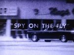 Watch Spy on the Fly (Short 1967) M4uhd
