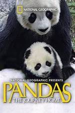Watch Pandas: The Journey Home M4uhd