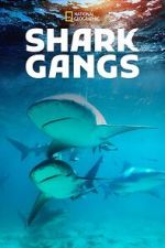 Watch Shark Gangs M4uhd