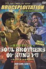 Watch Soul Brothers of Kung Fu M4uhd