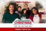 Watch A Chestnut Family Christmas M4uhd